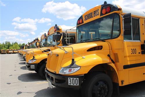 bus